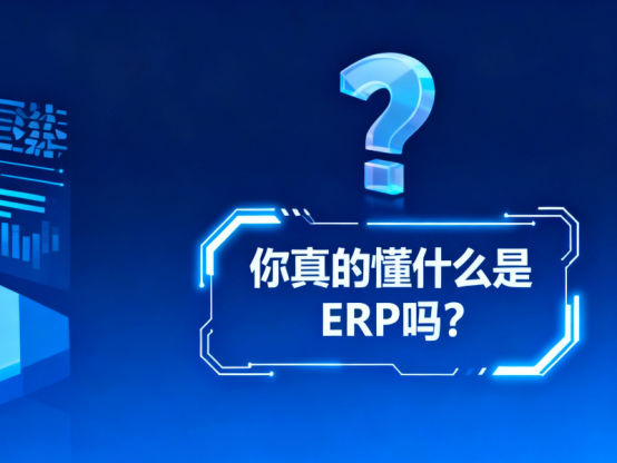 什么是ERP